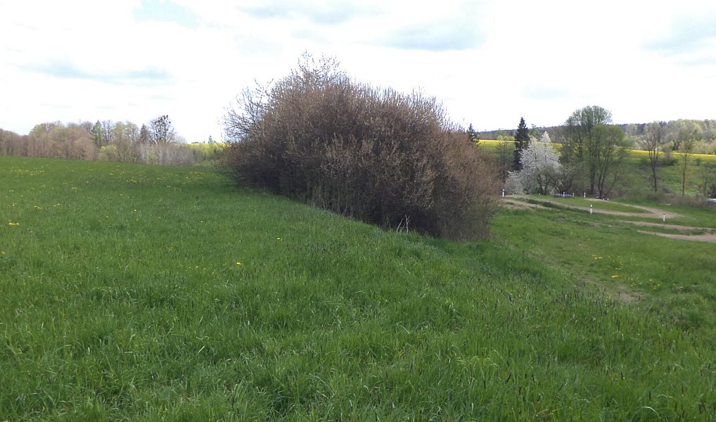 Prodej pozemku 5 357 m², Vítkov – náhled fotky 5