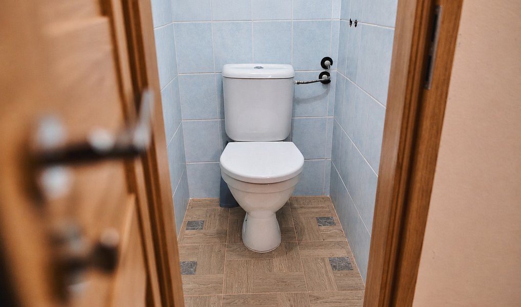 Pronájem bytu 2+1 52 m², Frýdek-Místek – náhled fotky 8