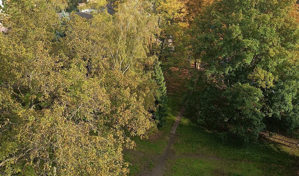 Pronájem bytu 2+1 61 m², Lovosice – náhled fotky 11