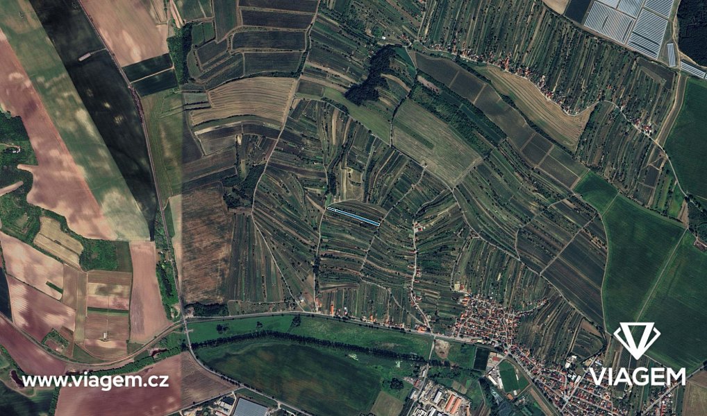Prodej pole 604 m², Mutěnice – náhled fotky 3