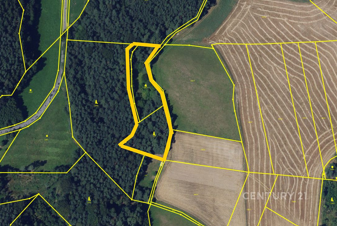 Prodej lesa 5 622 m²