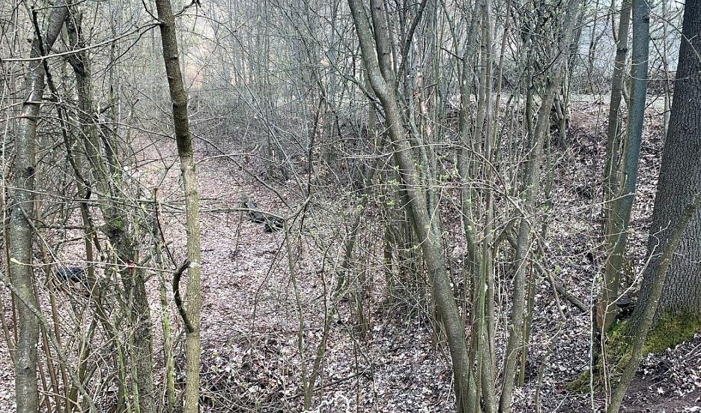 Prodej pozemku 1 151 m², Vonoklasy – náhled fotky 4