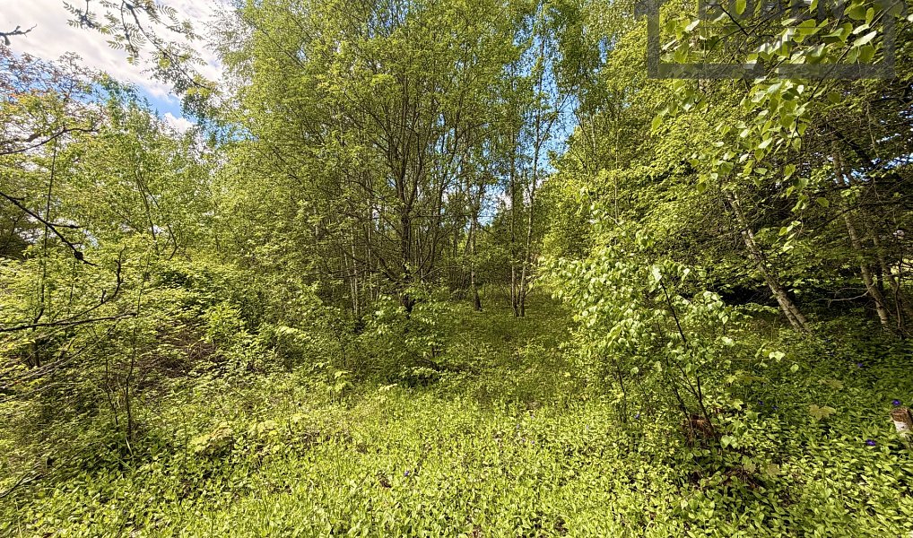 Prodej stavebního pozemku 435 m², Lestkov – náhled fotky 6