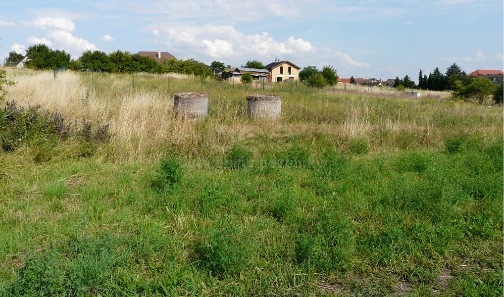 Prodej stavebního pozemku 1 400 m², Dřísy – náhled fotky 3