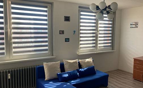 Pronájem bytu 1+1 33 m², Kpt. Jaroše, Most