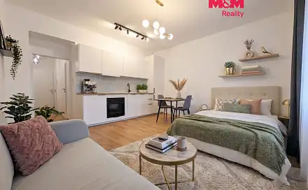 Pronájem bytu 1+kk 30 m²
