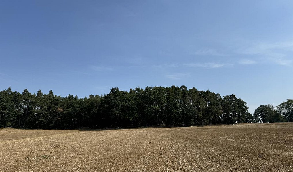 Prodej pozemku 3 093 m², Hradiště – náhled fotky 10