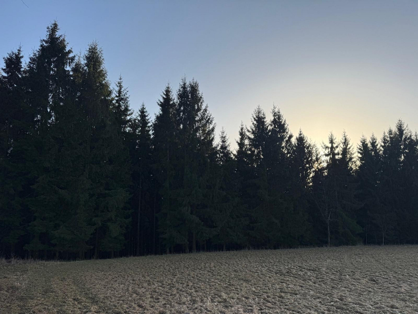Prodej lesa 4 610 m² – fotografie 2