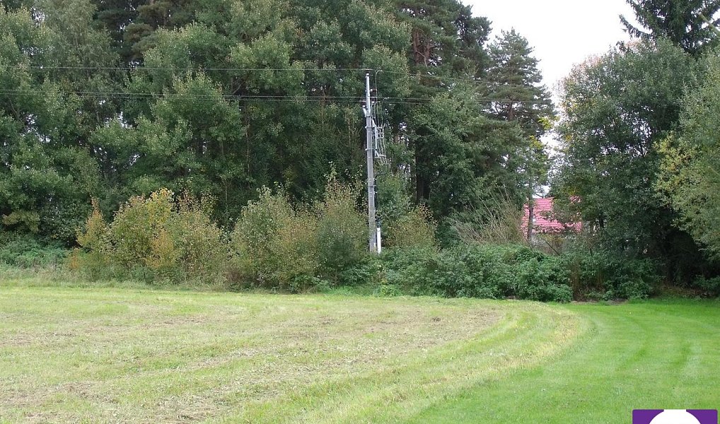 Prodej pozemku 3 860 m², Horní Planá – náhled fotky 2