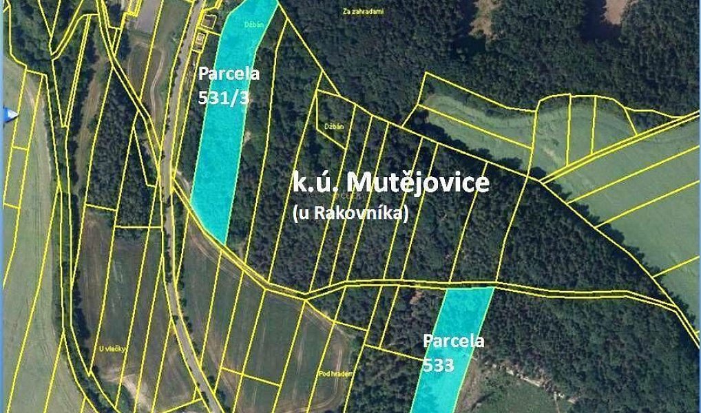 Pronájem pole 13 429 m², Mutějovice – náhled fotky 2