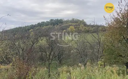 Prodej pozemku 4 839 m², Koryčany - Blišice, okres Kroměříž