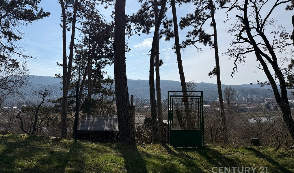 Prodej chaty/chalupy 32 m² s pozemkem 151 m², Lety – náhled fotky 3