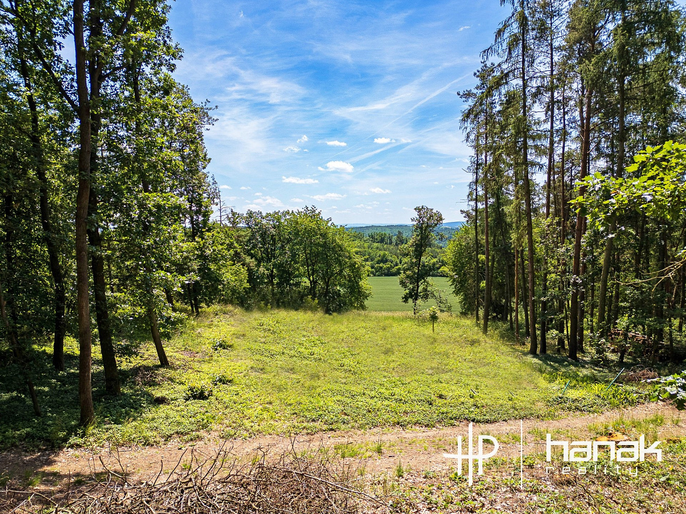 Prodej stavebního pozemku 3 150 m² – fotografie 5