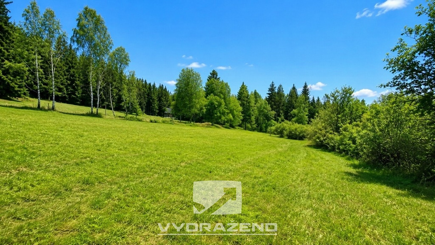 Prodej louky 6 990 m² — photo 3
