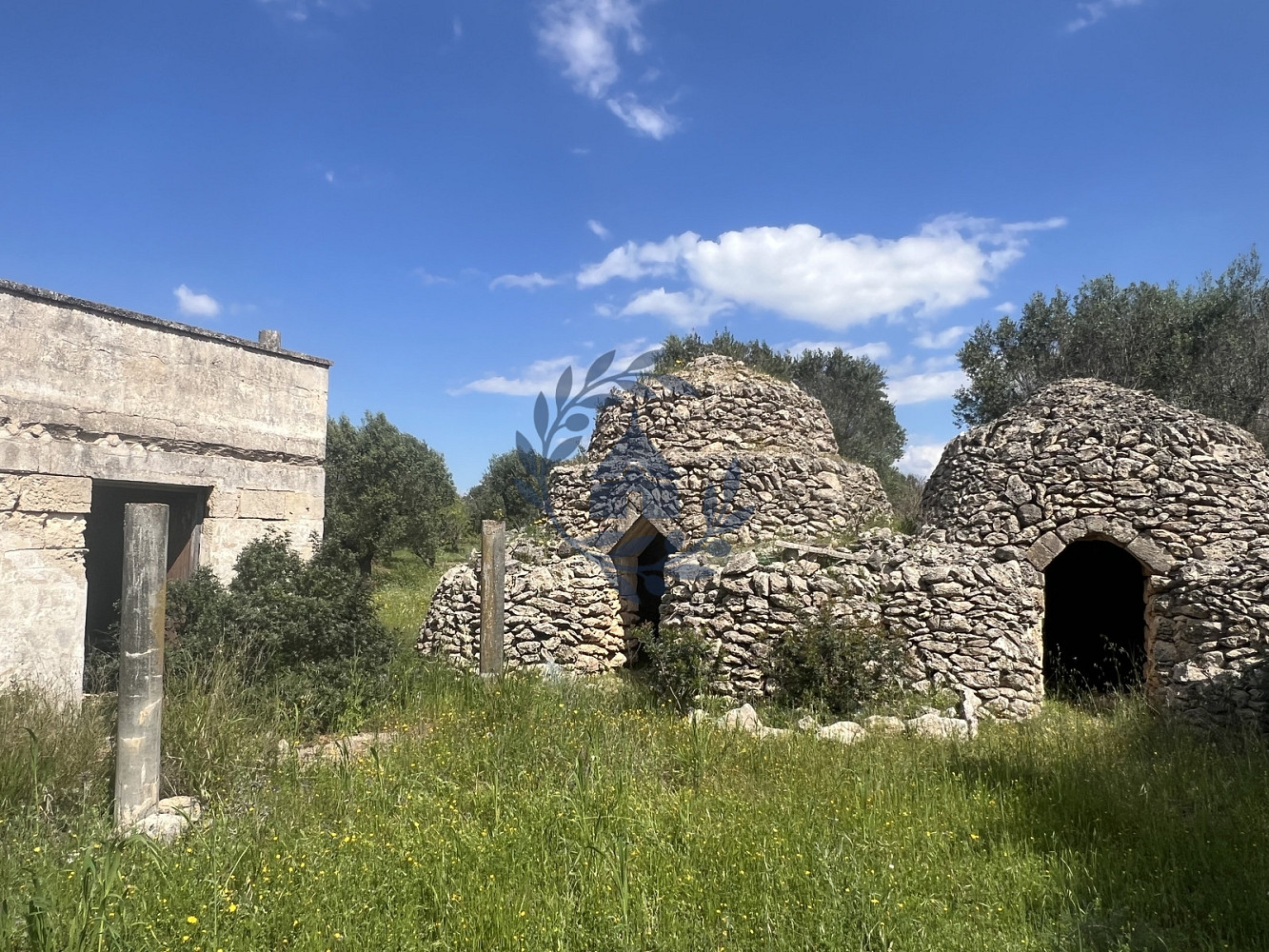Fotka 14 z 14