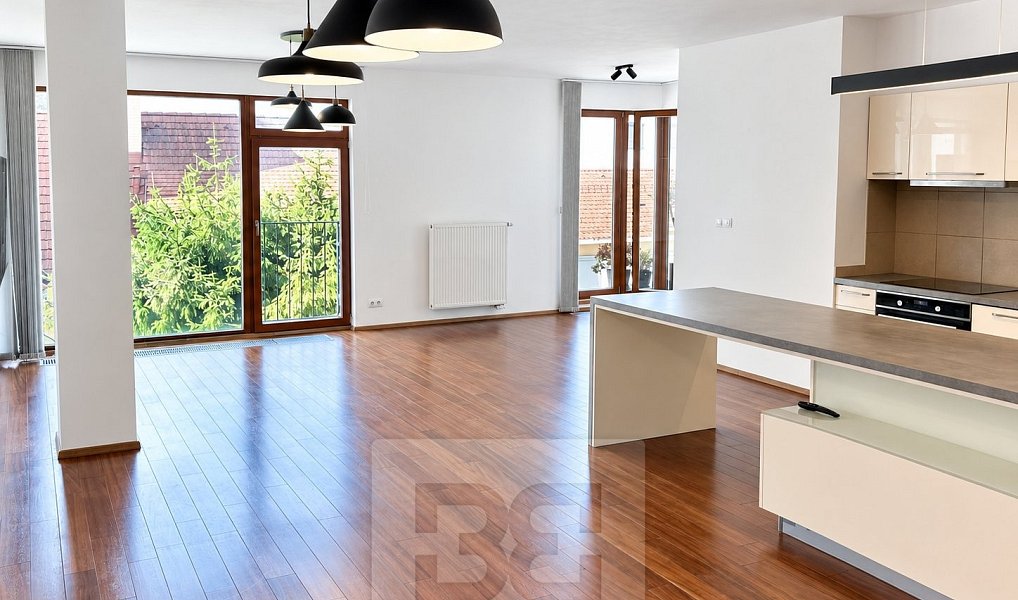 Pronájem bytu 3+kk 138 m², Praha – náhled fotky 7