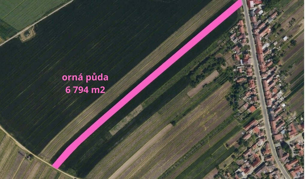 Prodej pole 60 930 m², Čejkovice – náhled fotky 4