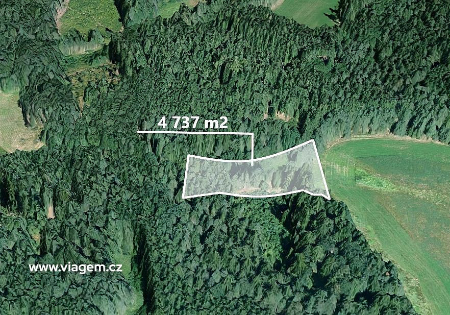Prodej lesa 2 072 m²