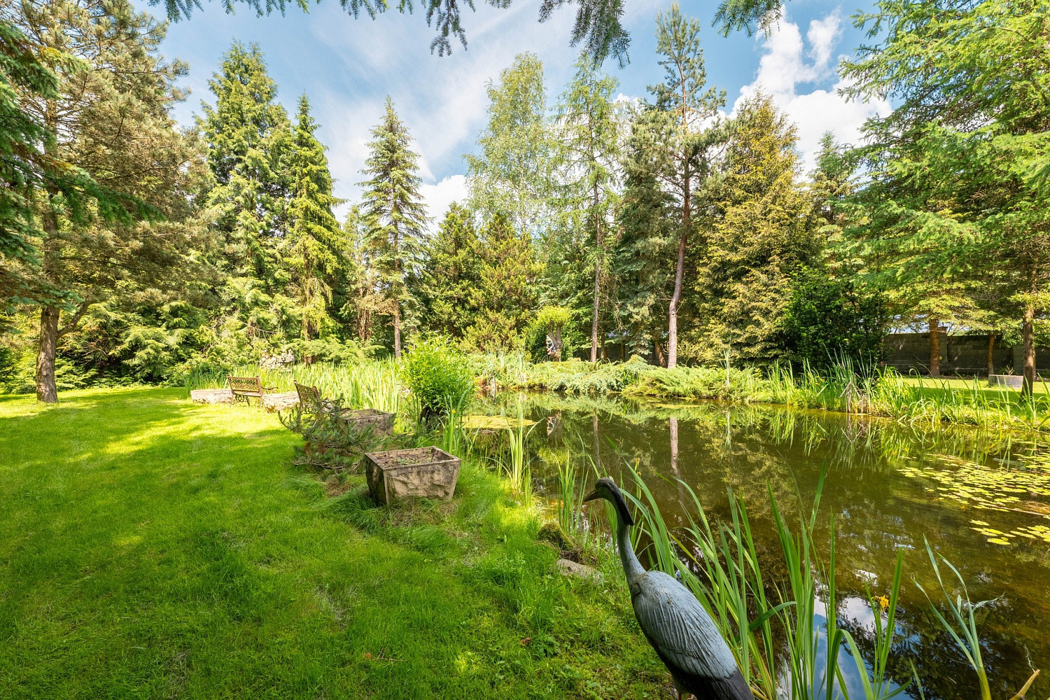 Prodej domu 215 m² s pozemkem 5 552 m² – fotografie 5