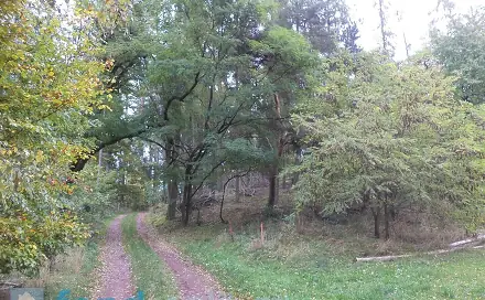 Prodej pozemku 2 376 m², Lázně Bělohrad, okres Jičín