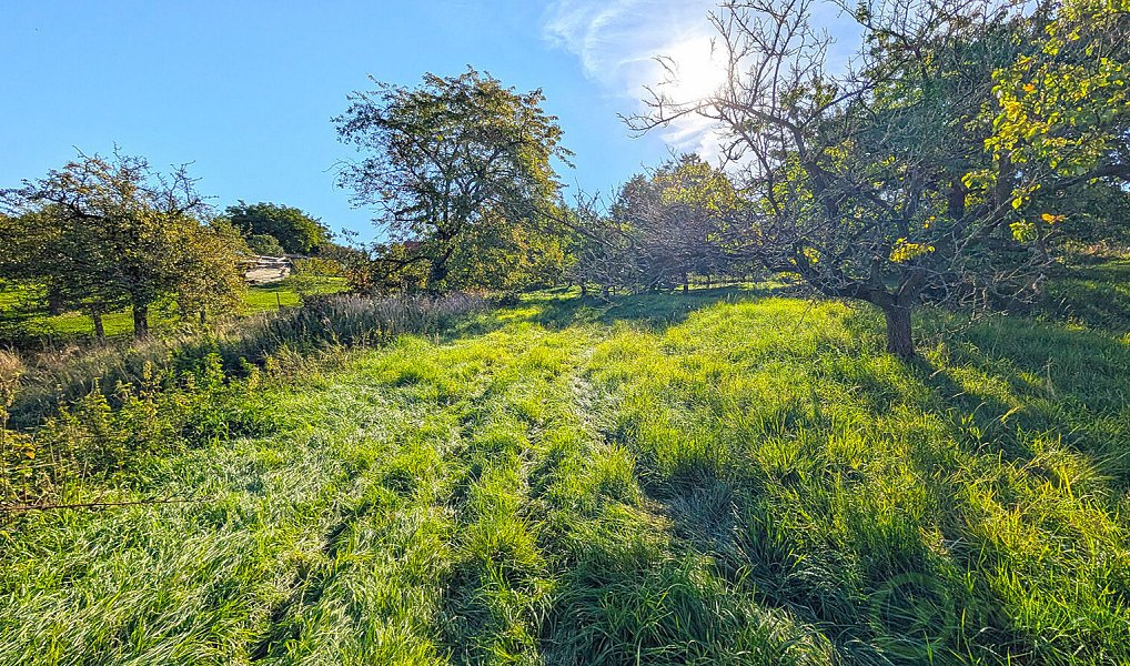 Prodej domu 216 m² s pozemkem 2 040 m², Dobřenice – náhled fotky 35