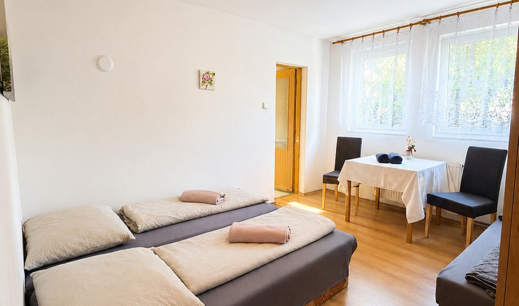 Prodej ubytovacího objektu 442 m², Holčovice – náhled fotky 5
