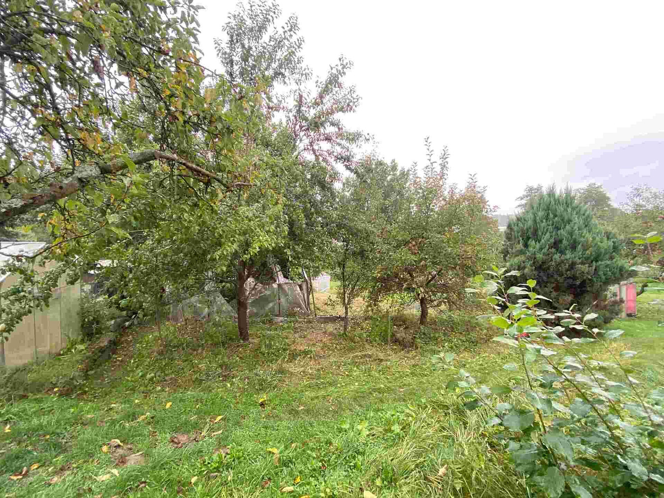 Prodej zahrady 194 m² – fotografie 3