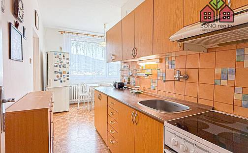Prodej bytu 3+1 65 m², Sibiřská, Ústí nad Labem - Neštěmice