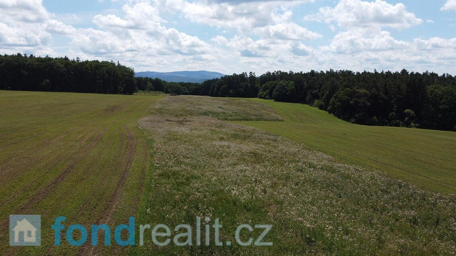 Prodej pozemku 23 500 m² – fotografie 2