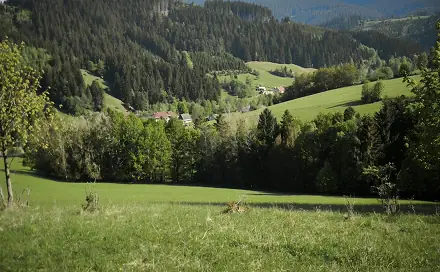 Prodej lesa 6 375 m², Velké Karlovice - Olšany