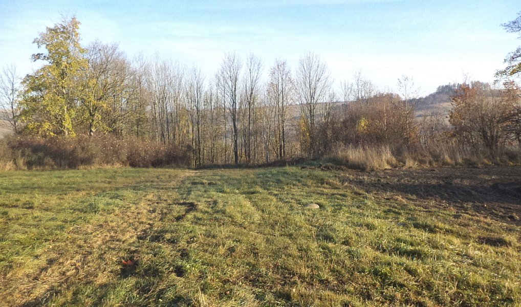 Prodej pozemku 60 778 m², Budišov nad Budišovkou – náhled fotky 4