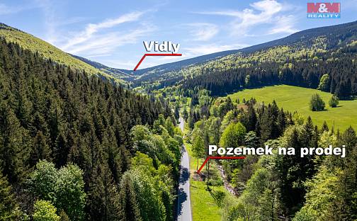 Prodej stavebního pozemku 1 350 m², Bělá pod Pradědem - Domašov, okres Jeseník