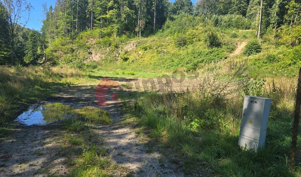 Prodej stavebního pozemku 3 055 m², Zlaté Hory – náhled fotky 4