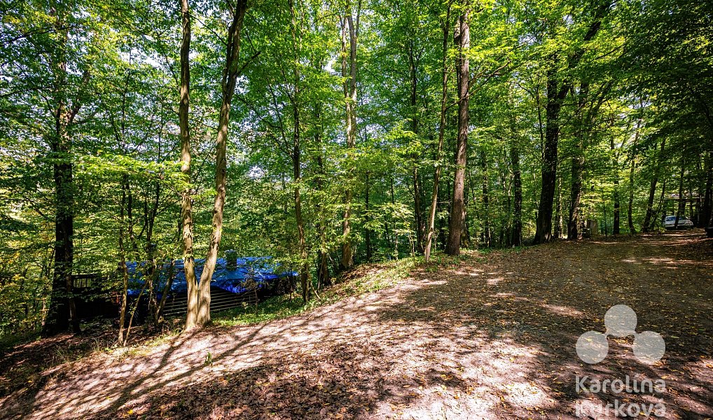 Prodej chaty/chalupy 24 m² s pozemkem 113 m², Petrov – náhled fotky 21