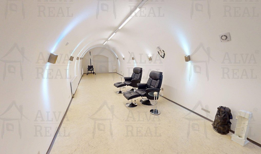 Pronájem obchodních prostor 145 m², Židlochovice – náhled fotky 7