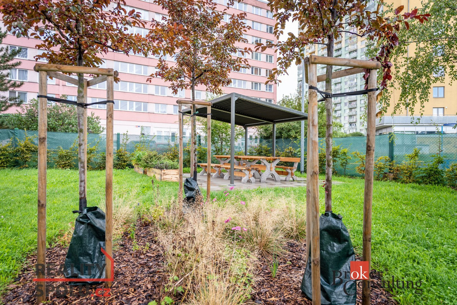 Fotka 18 z 20