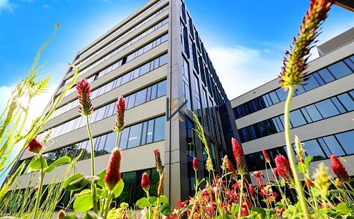 Pronájem kanceláře 1 316 m², Plzeňská, Praha 5 - Smíchov, okres Praha