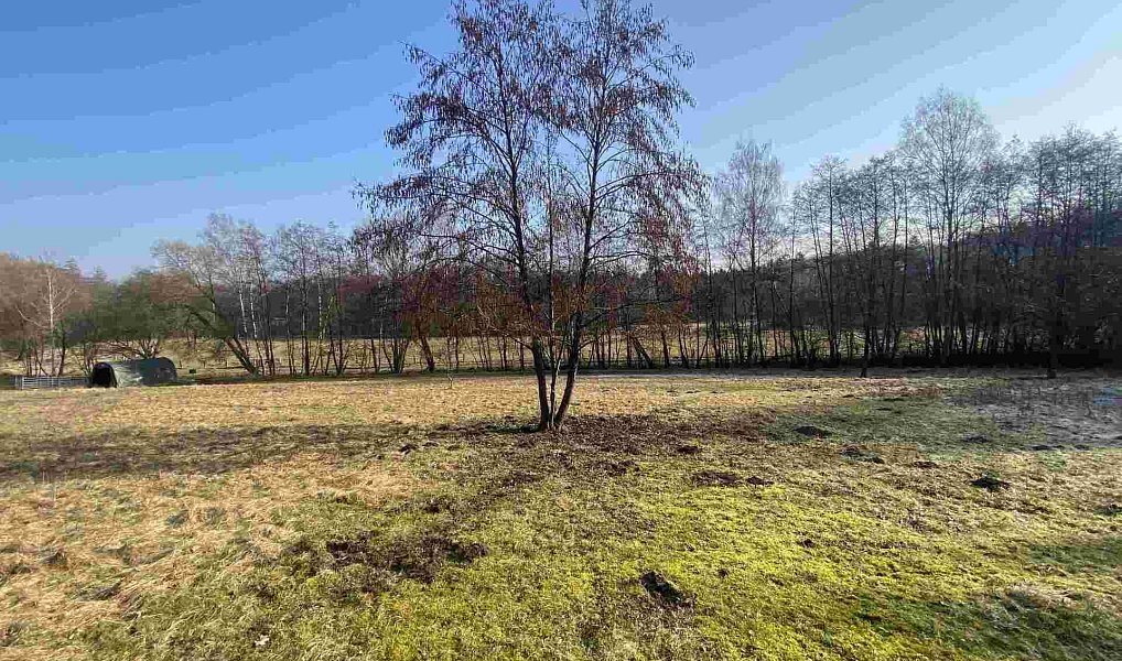 Prodej pole 5 206 m², Karlovice – náhled fotky 4
