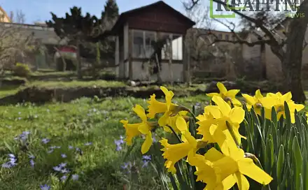 Prodej chaty/chalupy 6 m² s pozemkem 176 m², Spojená, Praha 6 - Střešovice
