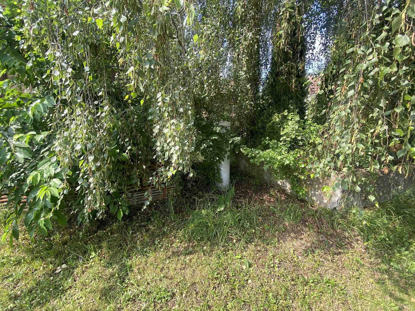 Prodej stavebního pozemku 2 458 m² – fotografie 3