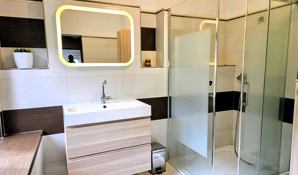 Prodej domu 385 m² s pozemkem 964 m², Bílovec – náhled fotky 29