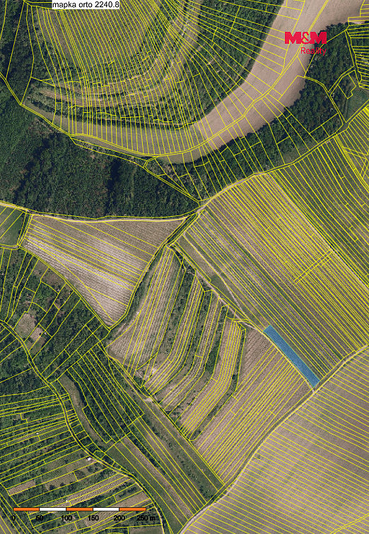 Prodej pole 2 899 m² – fotografie 2
