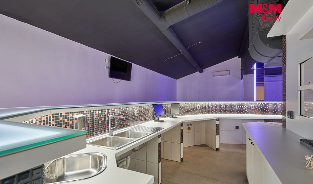 Pronájem obchodních prostor 365 m², Drslavice – náhled fotky 7