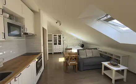 Pronájem bytu 1+kk 40 m², Biskupcova, Praha 3 - Žižkov