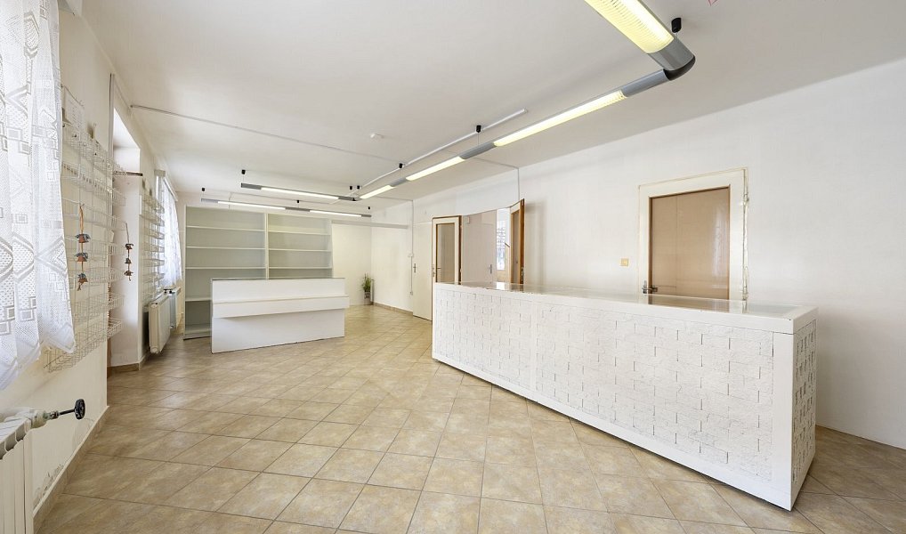 Prodej domu 260 m² s pozemkem 1 224 m², Polešovice – náhled fotky 3