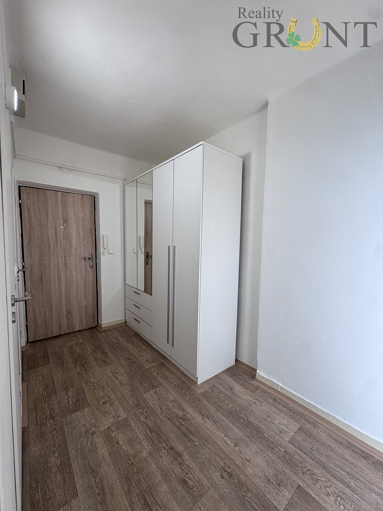 Pronájem bytu 2+1 54 m² – fotografie 4