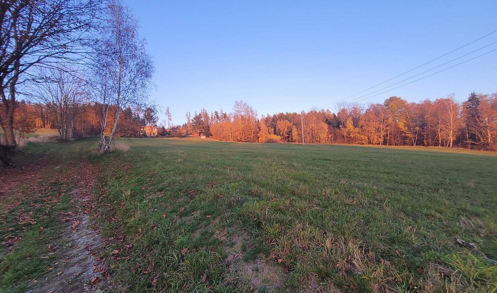 Prodej louky 6 834 m², Železný Brod – náhled fotky 4