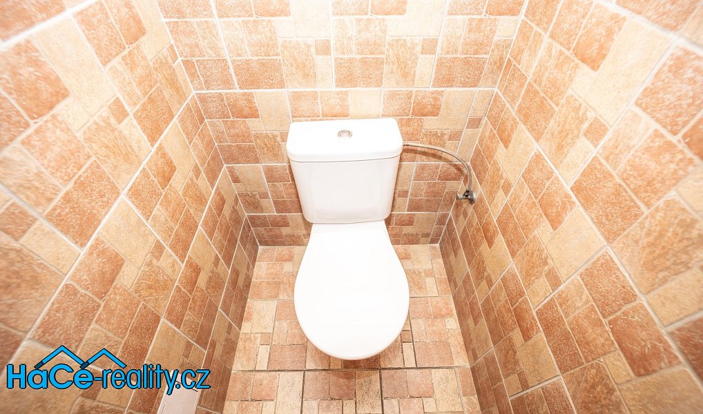 Prodej komerčního objektu (jiného typu) 572 m², Slatina nad Zdobnicí – náhled fotky 21