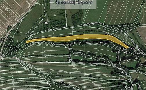 Prodej louky 1 144 m², Velká nad Veličkou, okres Hodonín