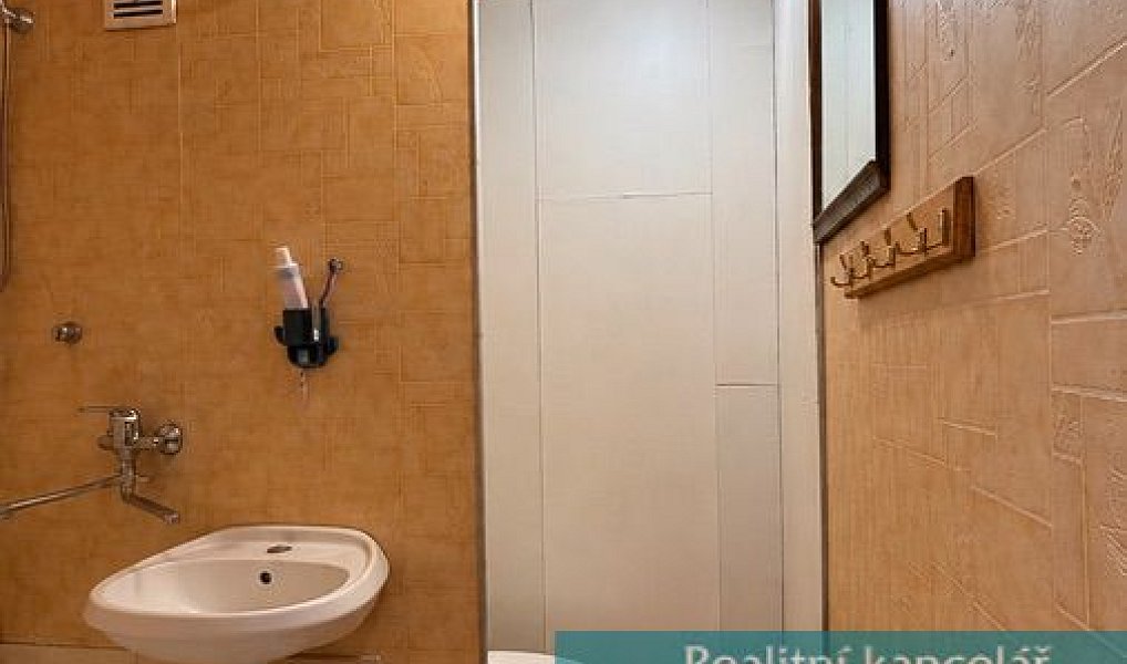 Prodej bytu 1+kk 28 m², Kroměříž – náhled fotky 12